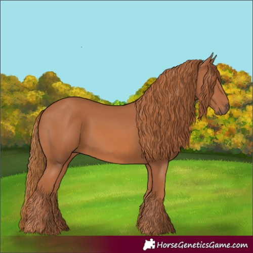 Horse Color:Chestnut 