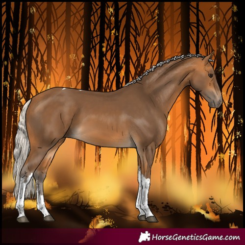 Horse Color:White Spotted Silver Buckskin Tobiano 