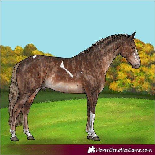 Horse Color:Liver Red Dun Tobiano Rabicano and Liver Chestnut Sabino Tobiano Rabicano