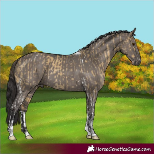 Horse Color:Classic Cream Champagne Dun Tobiano Rabicano and Smoky Grullo Tobiano Rabicano
