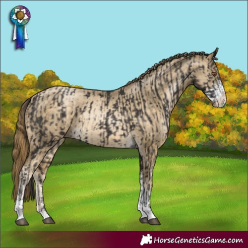 Horse Color:Smoky Black Sabino Tobiano Rabicano and Buckskin Pearl Sabino Tobiano Rabicano