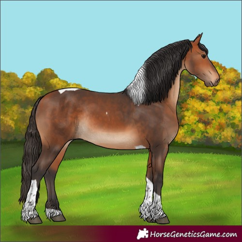 Horse Color:Bay Tobiano Rabicano 
