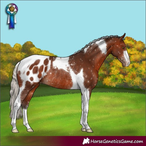 Horse Color:Silver Brown Tobiano Blanket Rabicano 