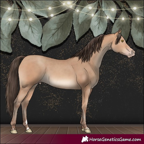 Horse Color:Amber Champagne