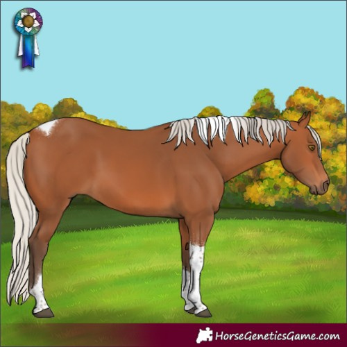 Horse Color:Silver Bay Tobiano 