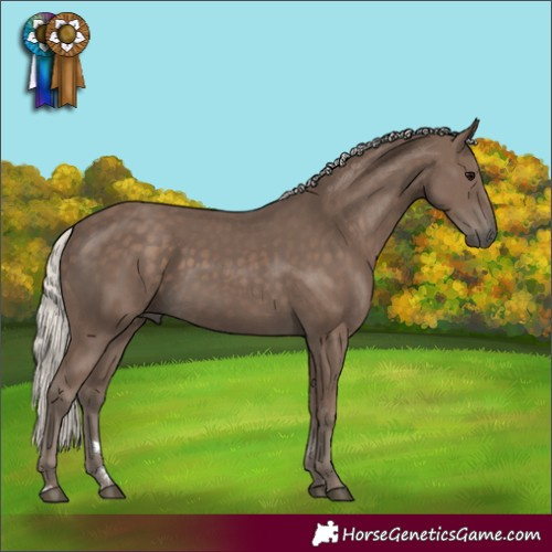 Horse Color:Silver Black 