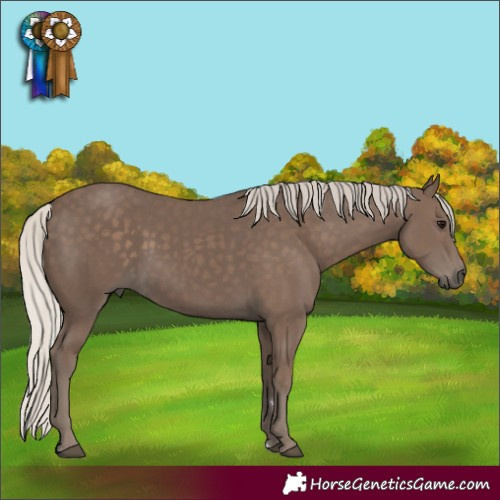 Horse Color:Silver Black