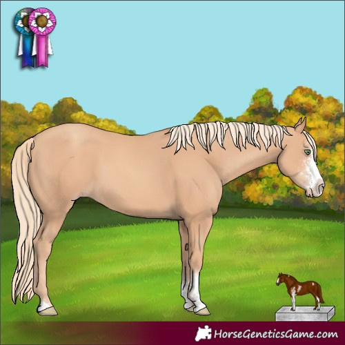 Horse Color:Gold Champagne Sabino 