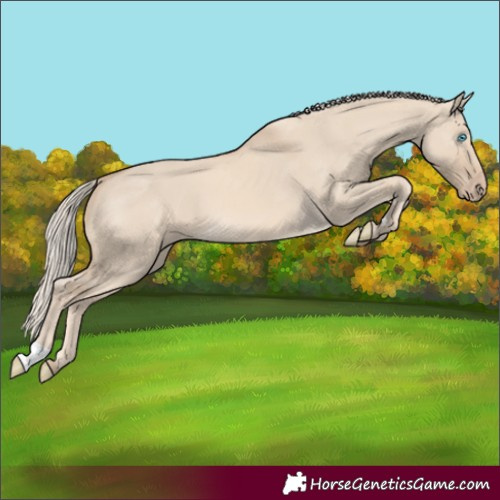 Horse Color:Cremello Dun
