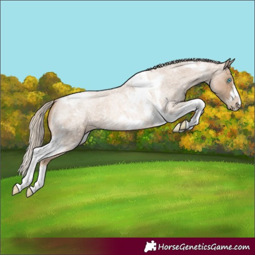 Horse Color:Chocolate Palomino Roan Pearl Tobiano Frame  and Chocolate Palomino Roan Pearl Tobiano Frame 