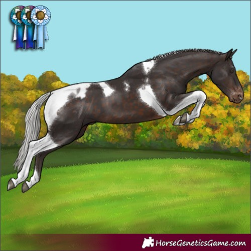 Horse Color:Silver Brown Tobiano Blanket