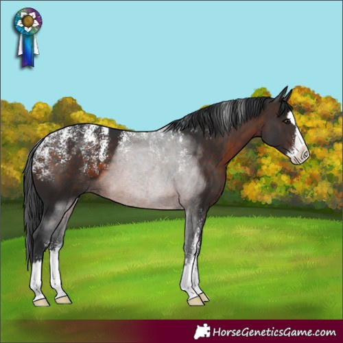 Horse Color:Powder White Brown Splash 