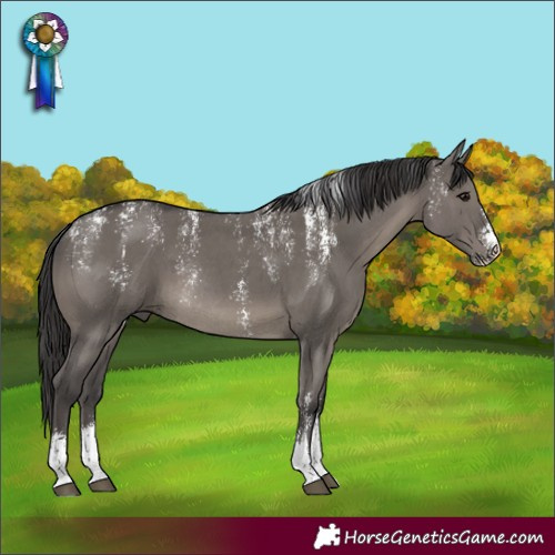 Horse Color:Powder White Smoky Grullo Sabino Rabicano