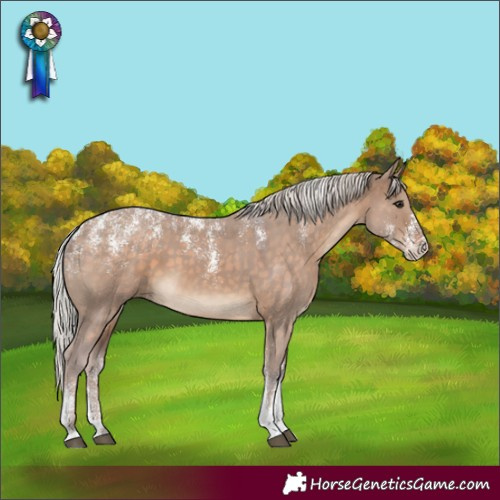 Horse Color:Powder White Silver Brown Dun 