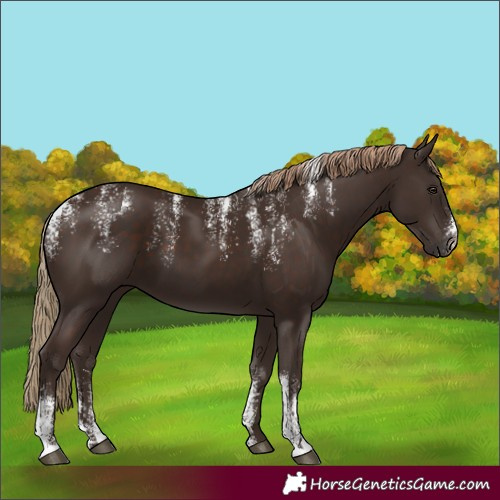 Horse Color:Powder White Liver Chestnut 