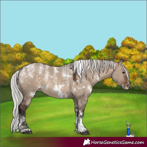 Horse Color:Powder White White Spotted Silver Brown Dun Rabicano 