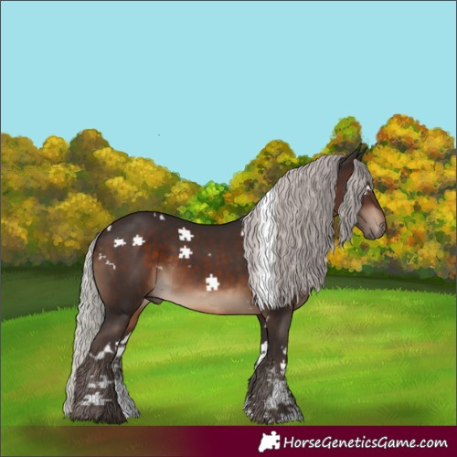 Horse Color:White Spotted Silver Brown Sabino