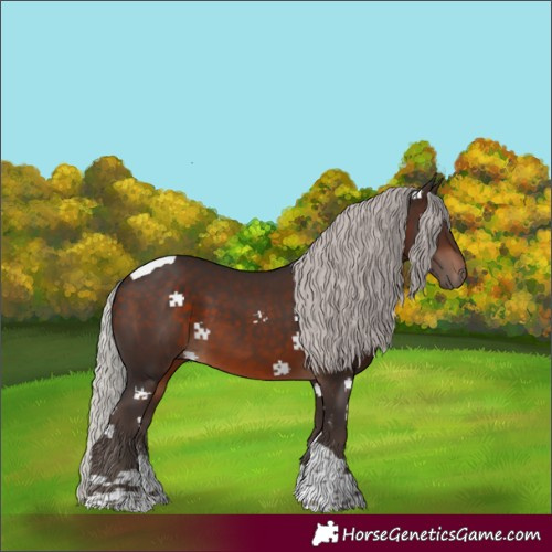 Horse Color:Silver Brown Sabino Tobiano 