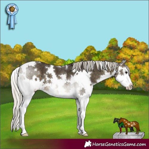 Horse Color:White Spotted Silver Buckskin Sabino Splash 