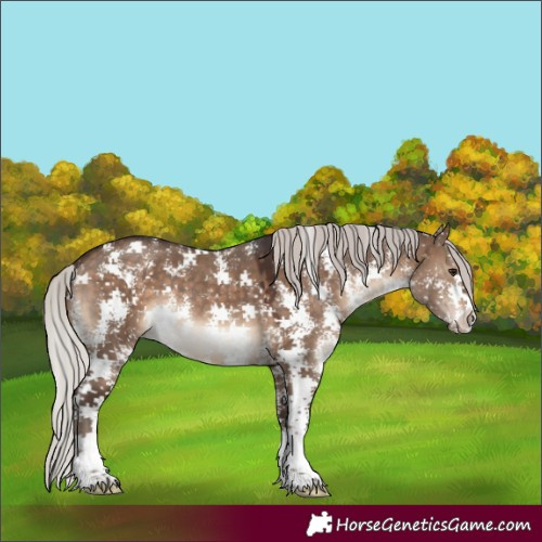 Horse Color:Silver Brown Dun Sabino 