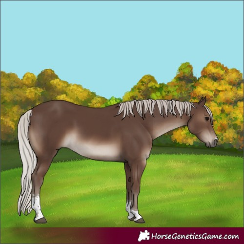 Horse Color:Silver Black Tobiano