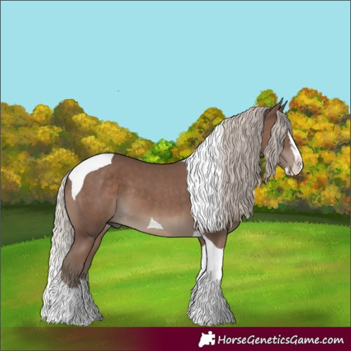 Horse Color:Silver Black Splash Tobiano 