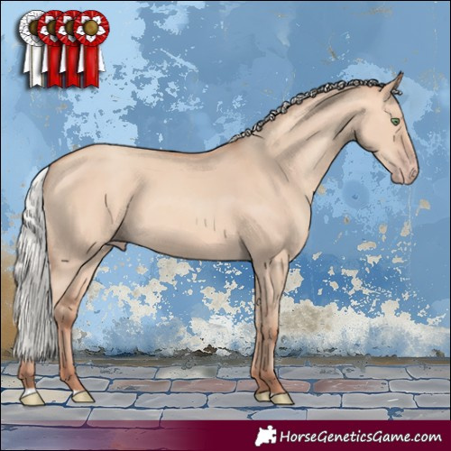 Horse Color:Silver Amber Champagne Dun 