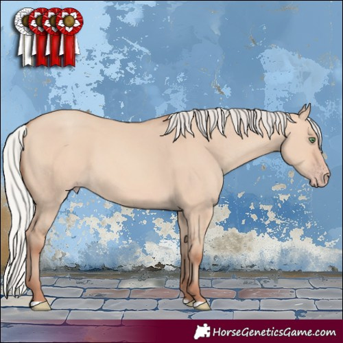 Horse Color:Silver Amber Champagne Dun 