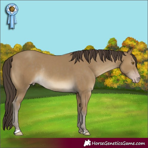 Horse Color:Classic Cream Champagne Rabicano 