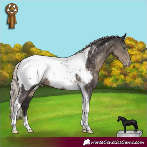 Horse Color:Silver Smoky Black Tobiano Snowcap