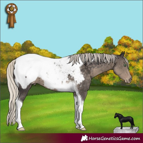 Horse Color:Silver Smoky Black Tobiano Snowcap 