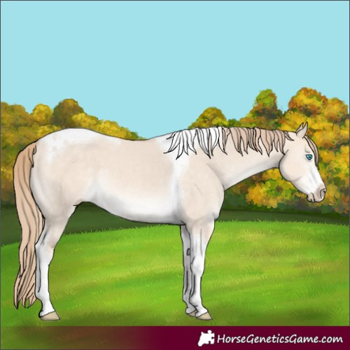 Horse Color:Perlino Dun Sabino Tobiano 