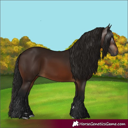 Horse Color:Gray Bay 