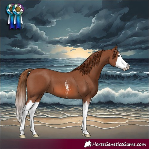 Horse Color:Chestnut Sabino Splash Varnish