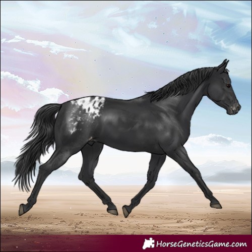 Horse Color:Black Varnish 