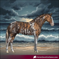 Horse Color:Palomino Splash Tobiano Frame and Liver Chestnut Splash Tobiano