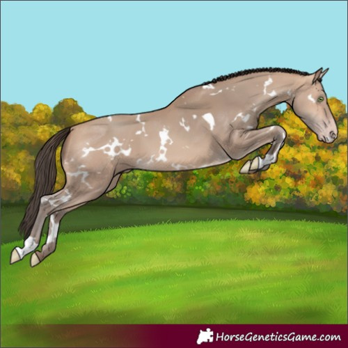 Horse Color:White Spotted Amber Champagne 