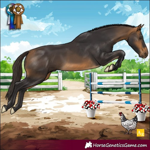 Horse Color:Buckskin 
