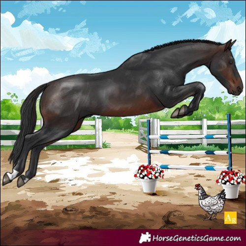 Horse Color:Brown 