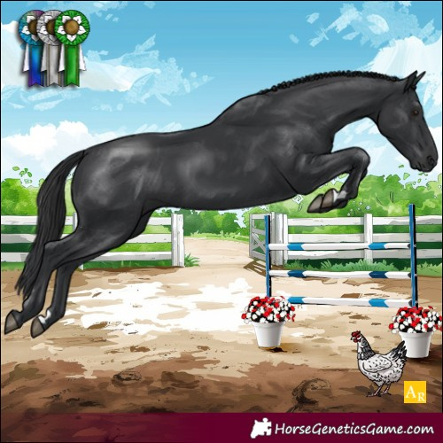 Horse Color:Black 