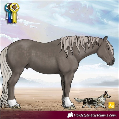 Horse Color:Silver Black 