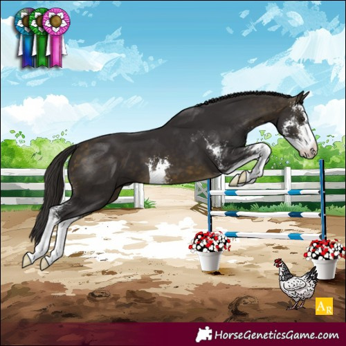 Horse Color:Buckskin Sabino 