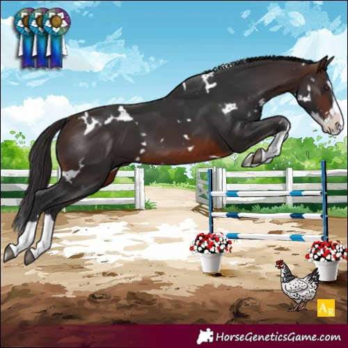 Horse Color:White Spotted Brown Splash