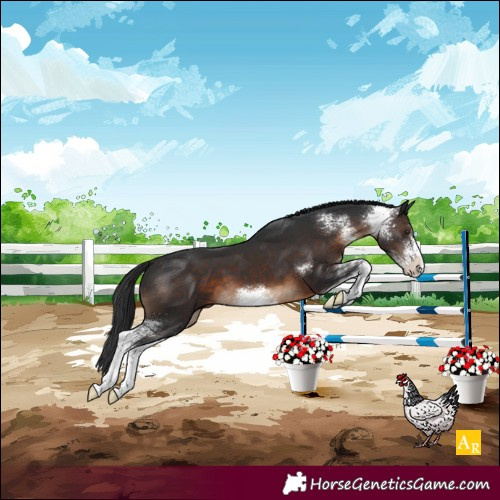 Horse Color:Brown Sabino Varnish 