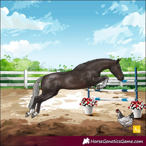 Horse Color:Silver Brown Tobiano Rabicano 