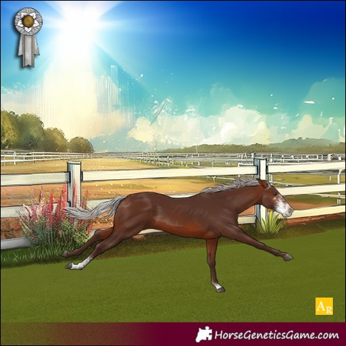 Horse Color:Silver Bay Sabino 