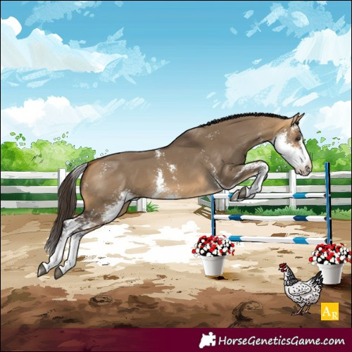 Horse Color:Buckskin Dun Sabino
