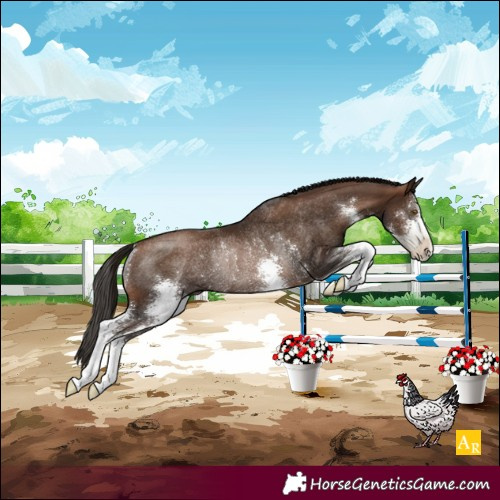 Horse Color:Gray Brown Pearl Sabino Rabicano 