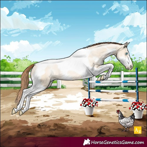Horse Color:Buckskin Pearl Dun Sabino Tobiano Rabicano