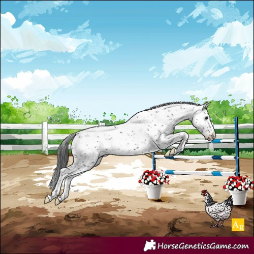 Horse Color:Brown Sabino 